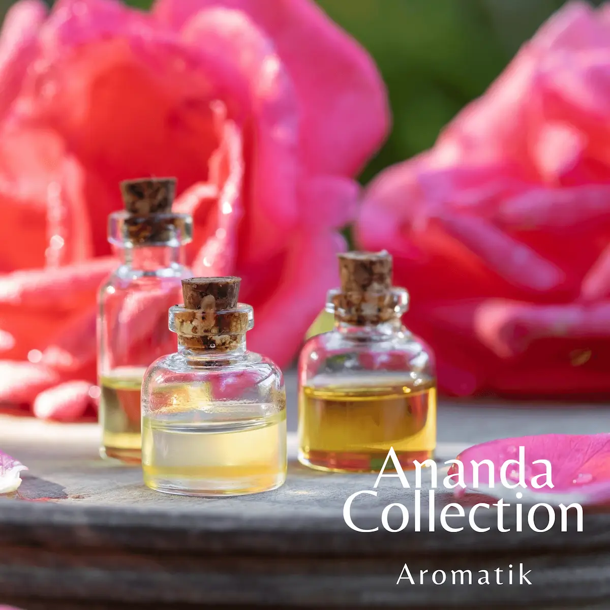 Ananda-Collection Ananda-Collection